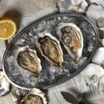 Huîtres fines de plein mer Normandie Ouest