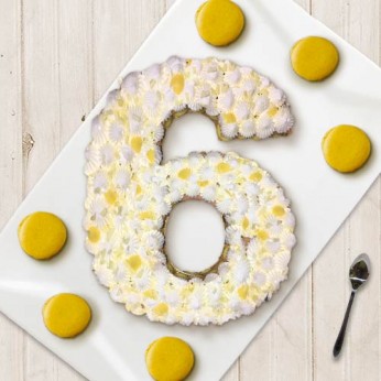 Number Cake - Chocolat blanc / Citron - Numéro 6 - 15 parts