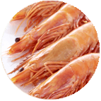 Crevettes roses cuites de Madagascar 40/60