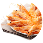 Crevettes sauvages 10/20