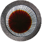 Sauce salée