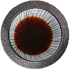 Sauce salée